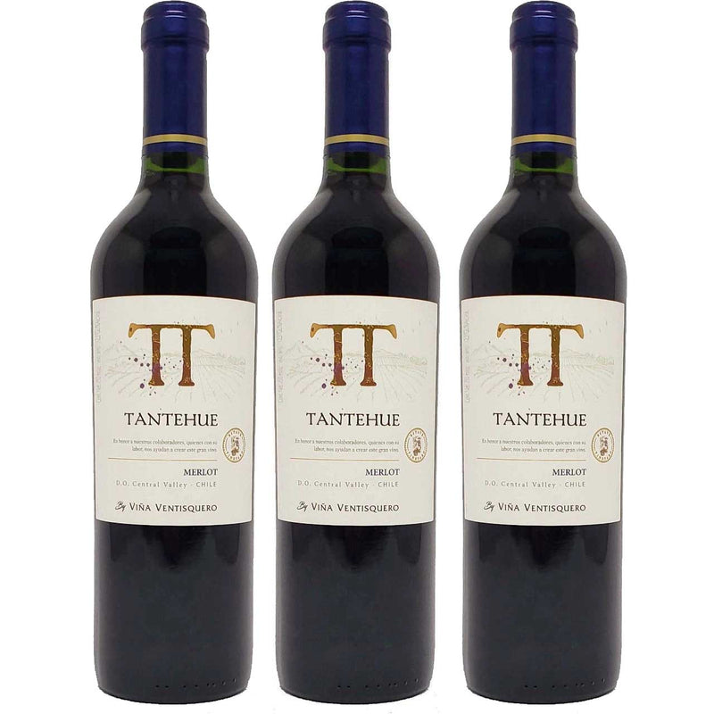 Kit 3x Vinhos Tintos Chileno Tantehue Merlot 750ml 2019