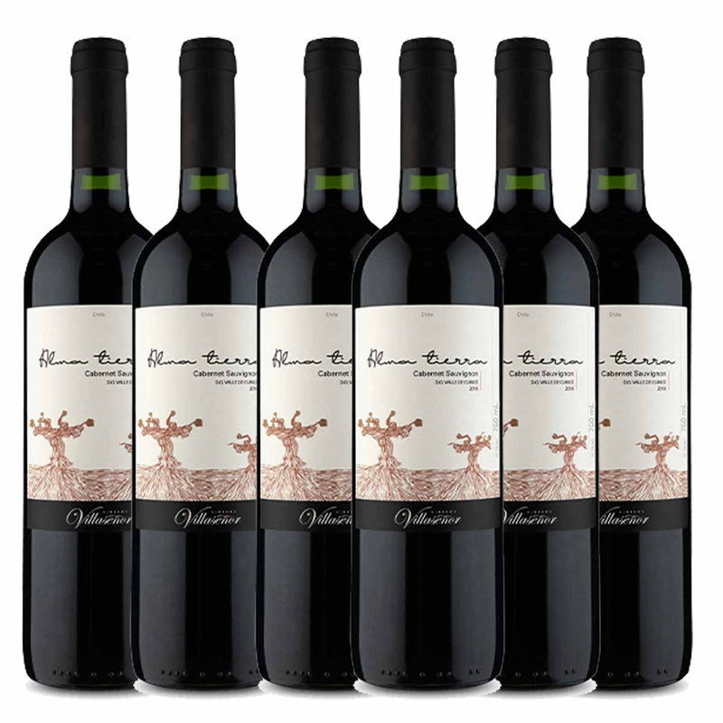 Kit6 Vinho Tinto Chileno Alma Tierra Cabernet Sauvignon 2018