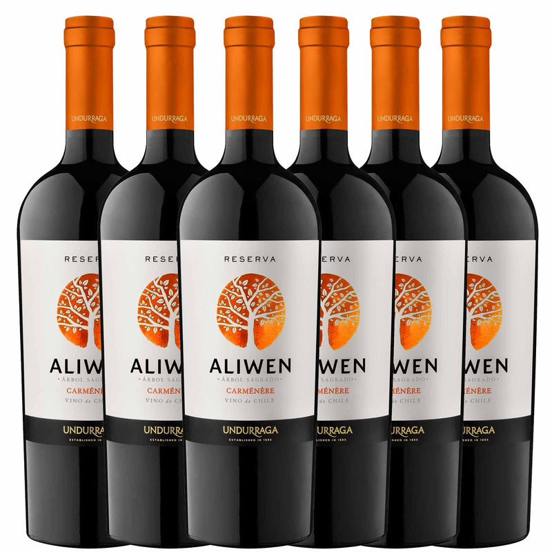 Kit 6x Vinhos Tintos Chileno Undurraga Aliwen Reserva Carmenere 2019