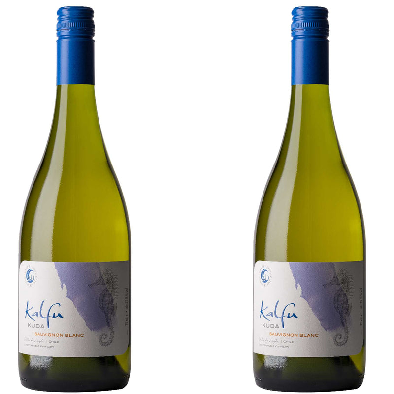 Kit 2x Vinhos Brancos Chileno Kalfu Reserva Molu Sauvignon Blanc 2019