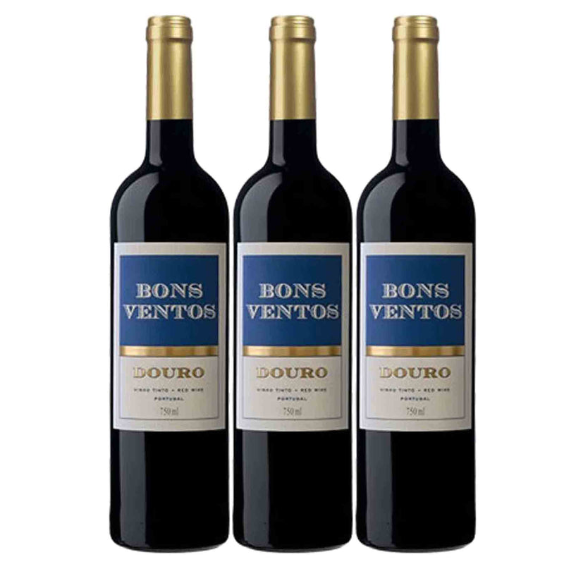 Kit 3x Vinhos Tintos Português Quinta de Bons Ventos Douro 2016