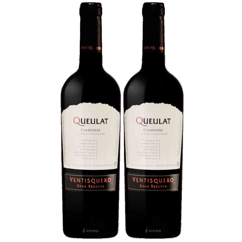 Kit 2x Vinhos Tinto Chileno Queulat G Reserva Carmenere 2017