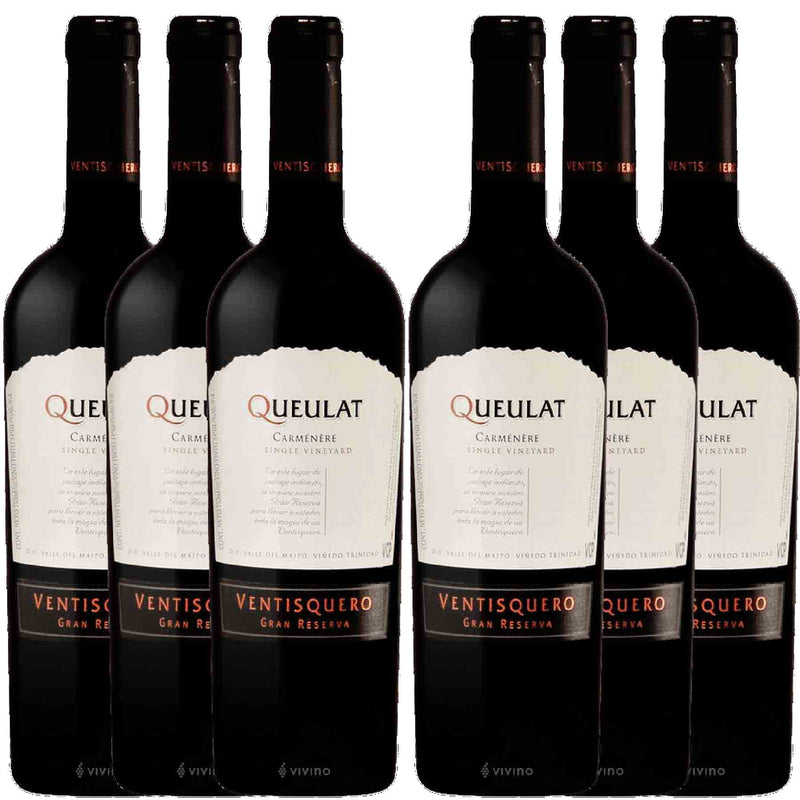 Kit 6x Vinhos Tintos Chileno Queulat G Reserva Carmenere 2017