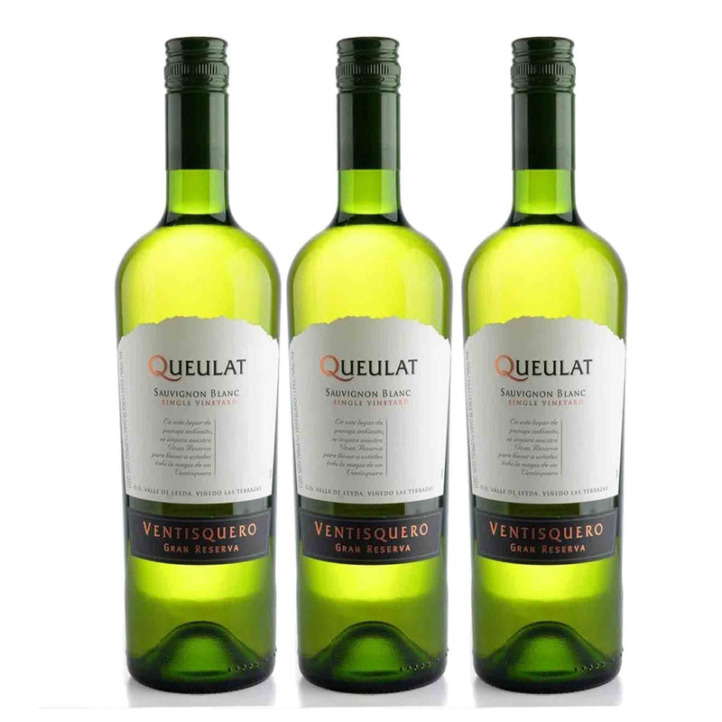 Kit 3x Vinhos Chileno Queulat Gran Reserva Sauvignon Blanc