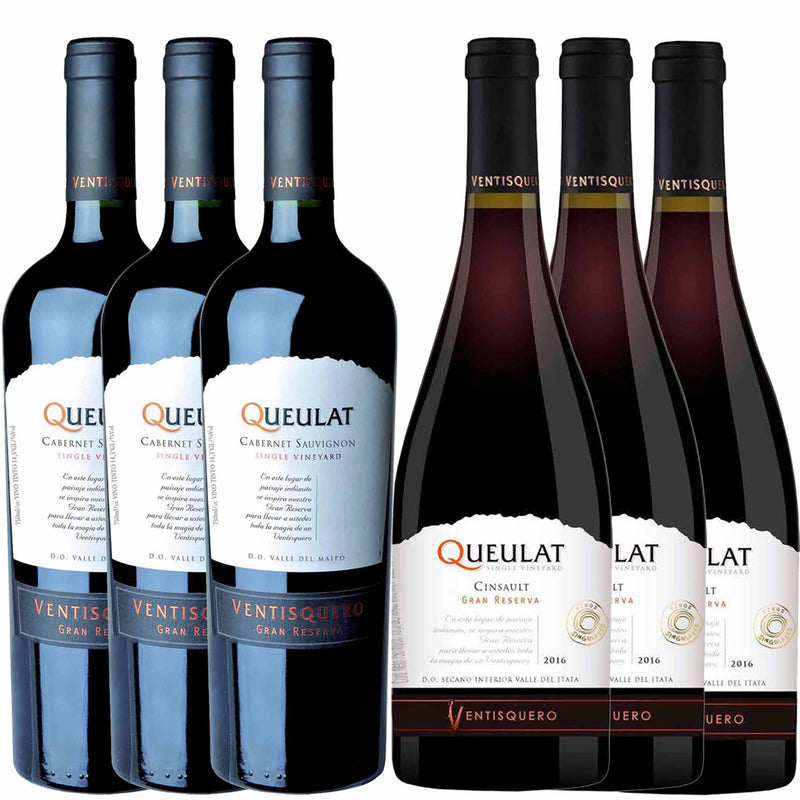 Kit 6x Vinhos Chilenos Tintos Gran Reserva Queulat