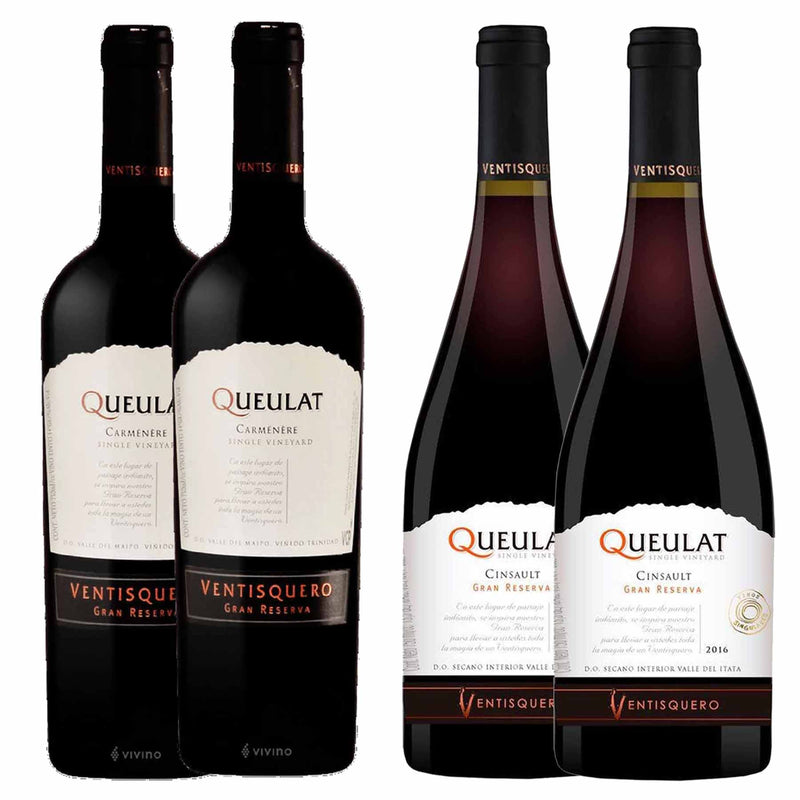 Kit 4x Vinhos Tintos Chileno Gran Reserva Queulat 750ml