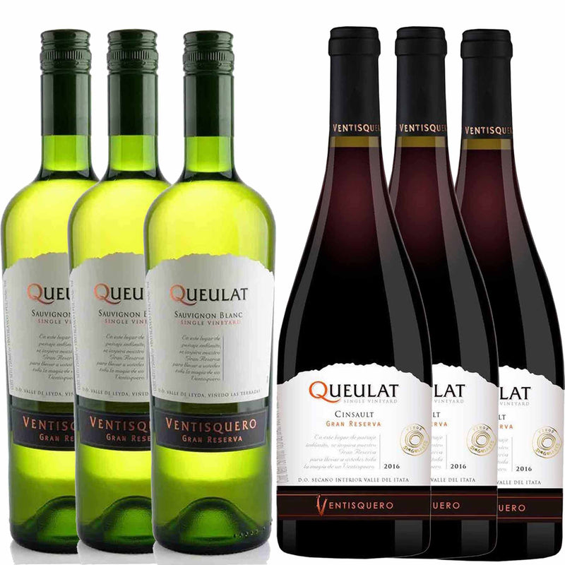 Kit 6x Vinhos Chilenos Tintos/Brancos Gran Reserva Queulat