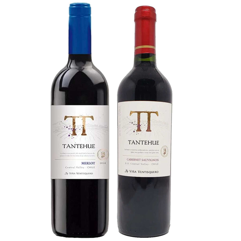 Kit 2x Vinhos Chileno Tintos Tantehue Merlot/Cabernet Sauvignon