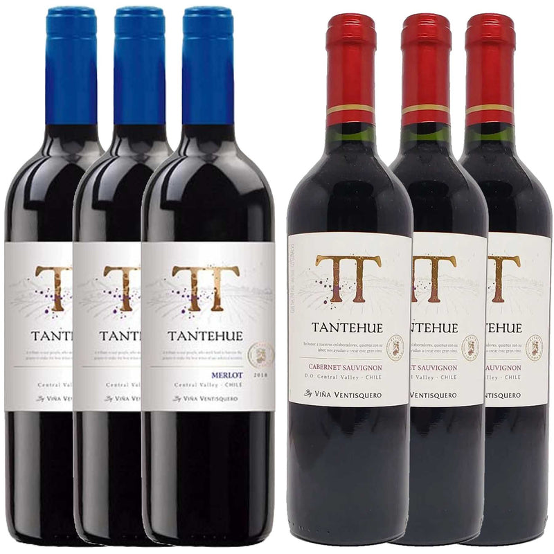 Kit 6x Vinhos Chileno Tintos Tantehue Merlot/Cabernet Sauvignon