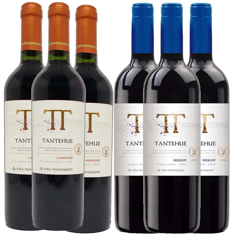 Kit 6x Vinhos Chileno Tintos Tantehue Merlot/Carmenere