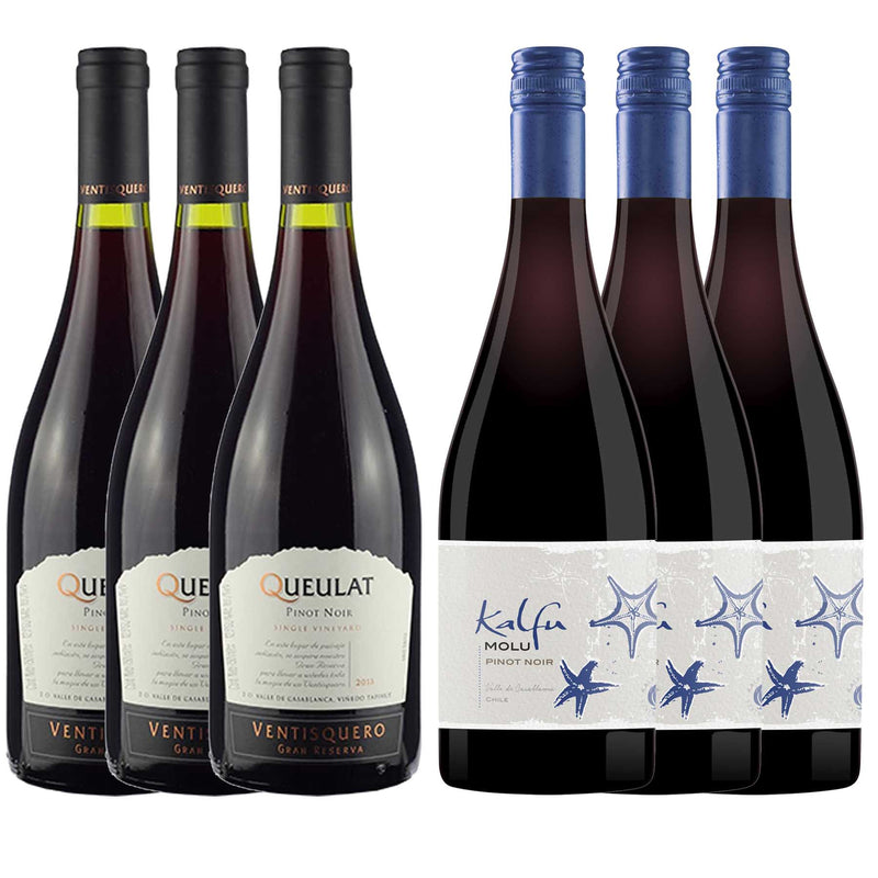 Kit 6x Vinhos Tintos Chileno Kalfu/Queulat Pinot Noir 2019