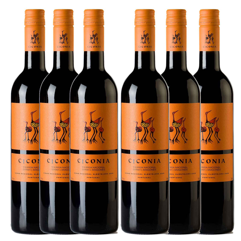 Kit 6x Vinhos Tintos Português Ciconia Regional Alentejano 2019