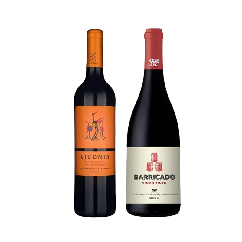 Kit 2x Vinho Tinto Português Barricado Casa Relvas e Ciconia Regional Alentejano 750ml