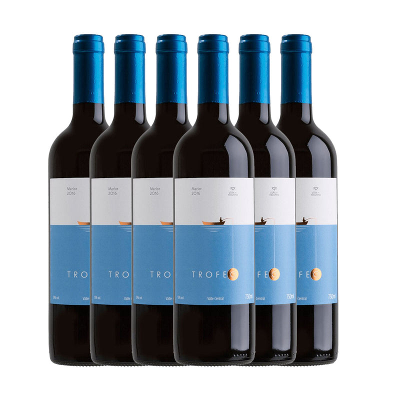 Kit 6x Vinhos Tintos Chileno Trofeo Merlot 2019