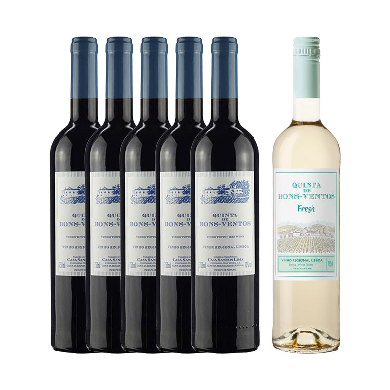 Kit 6x Vinhos Brancos/Tintos Português Quinta dos Bons Ventos