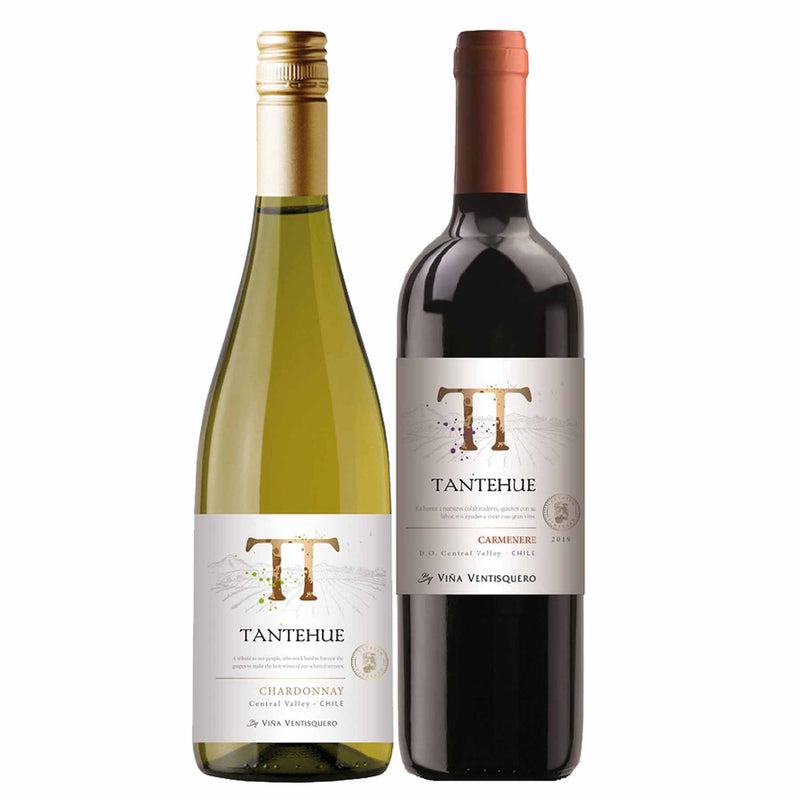 Kit 2x Vinhos Brancos Chileno Ventisquero Tantehue Chardonnay/Carmenere