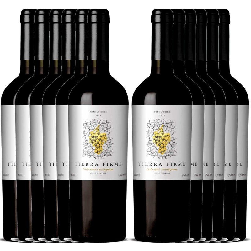 Kit 12x Vinhos Tintos Chileno Tierra Firme Cabernet Sauvignon 2021