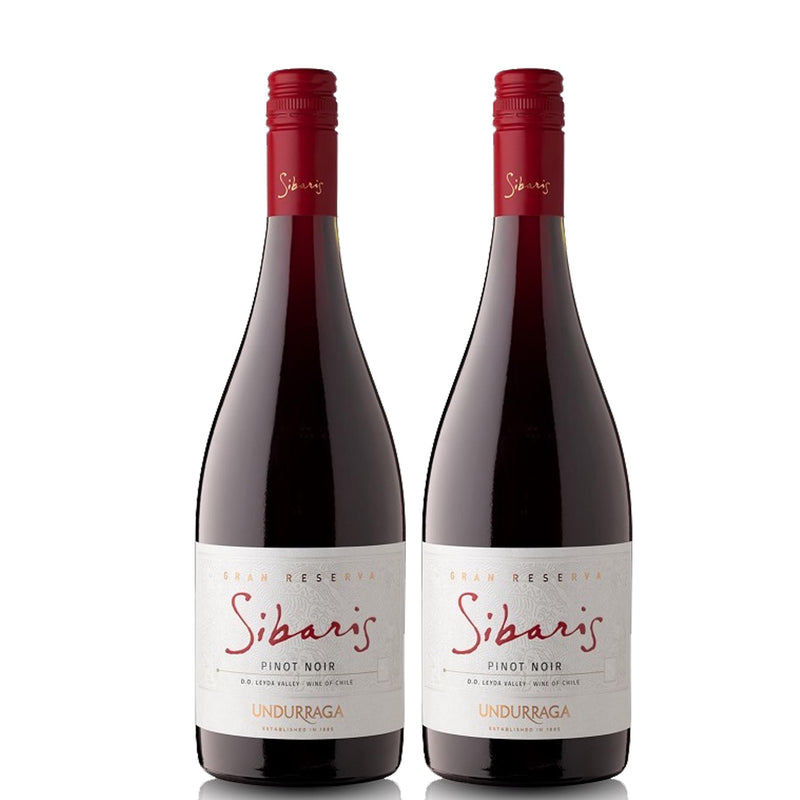 Kit 2x Vinhos Tinto Chileno Undurraga Sibaris Gran Reserva Pinot Noir 2019