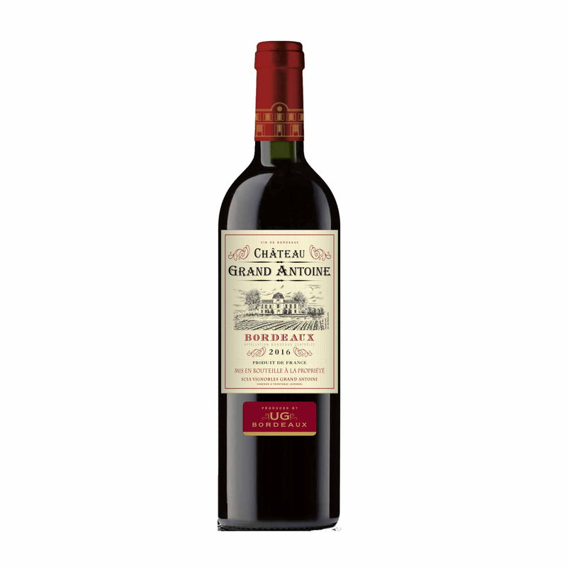 Vinho Tinto Francês Château Grand Antoine Bourdeaux 2016