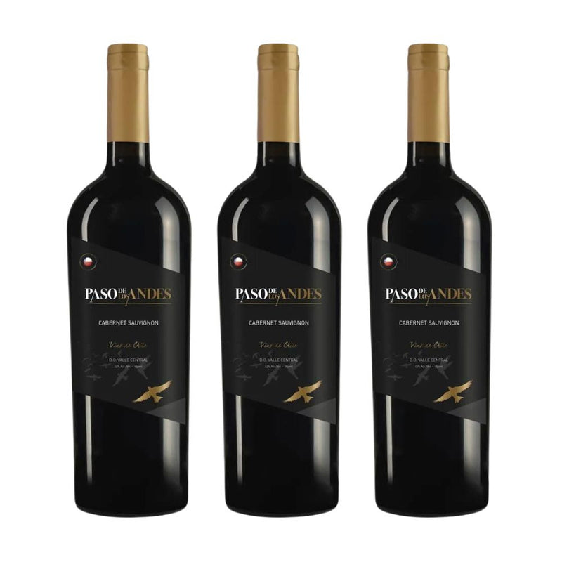 Kit 3x Vinhos Tintos Chilenos Paso de Los Andes Cabernet Sauvignon