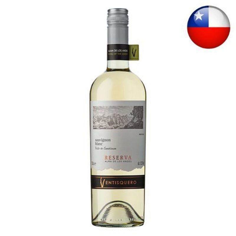 Vinho Branco Chileno Reserva Casablanca Alma de Los Andes Sauvignon Blanc 2019