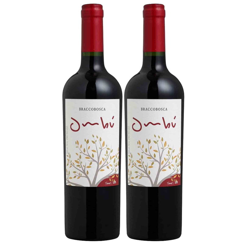 Kit 2x Vinhos Tinto Uruguaio Braccobosca Tannata Ombu 2017